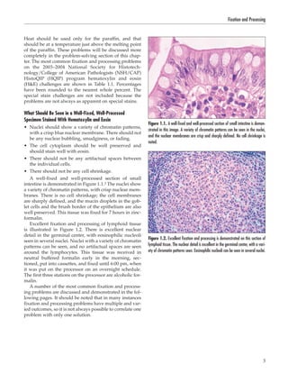 Comprehensive Guide to Tissue Fixation and Processing in Histology | PDF