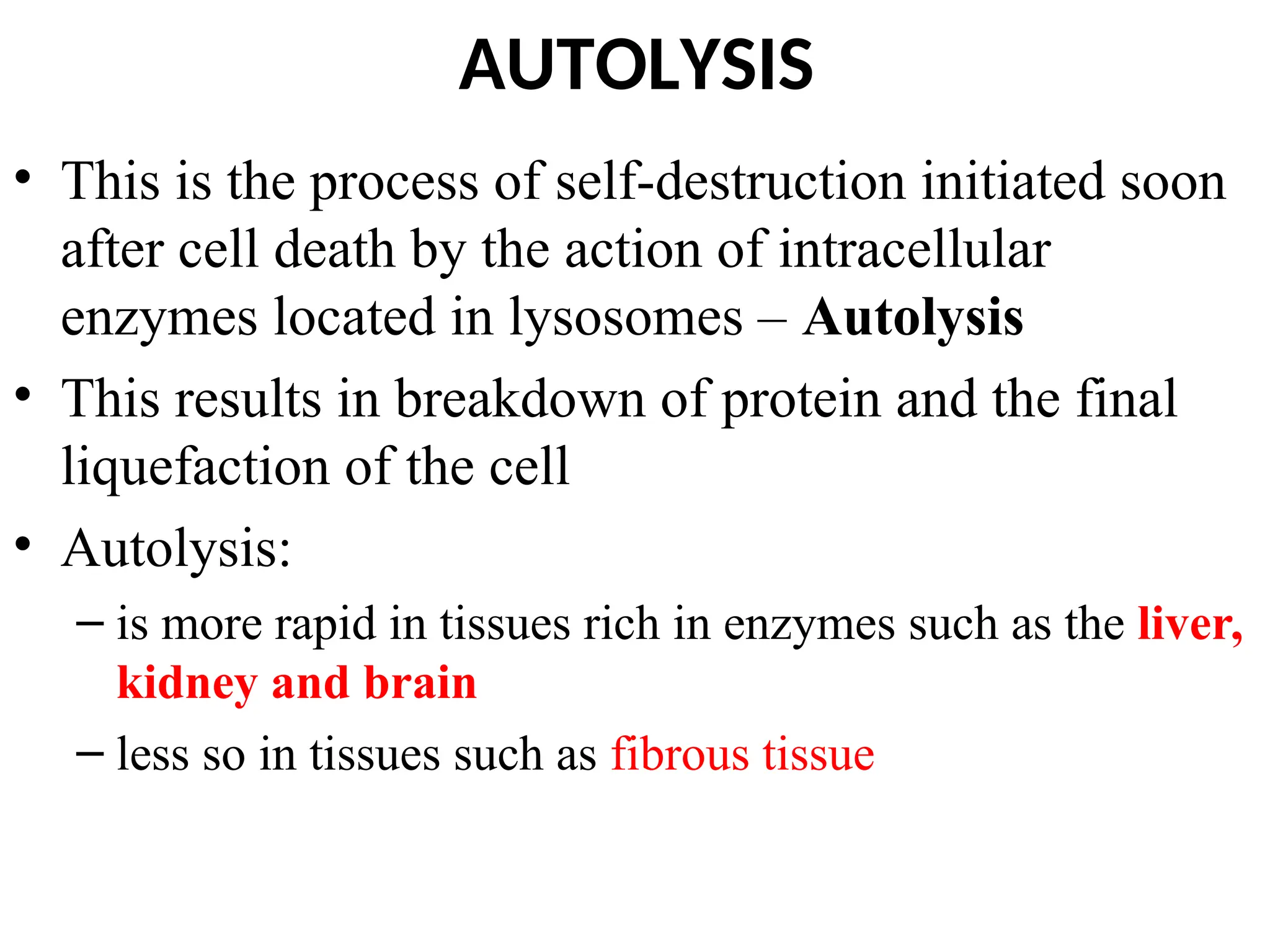 AUTOLYSIS
• This is the process of self-destruction initiated soon
after cell death by the action of intracellular
enzymes located in lysosomes – Autolysis
• This results in breakdown of protein and the final
liquefaction of the cell
• Autolysis:
– is more rapid in tissues rich in enzymes such as the liver,
kidney and brain
– less so in tissues such as fibrous tissue
 
