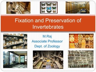 M.Raj
Associate Professor
Dept. of Zoology
Fixation and Preservation of
Invertebrates
 