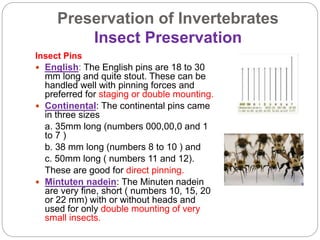 Fixation and preservation of Invertebrates | PPTX