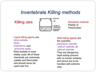 Fixation and preservation of Invertebrates | PPTX