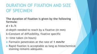 Fixation Time Label FIXATION AND PROCESSING OF TISSUE SPECIMEN.pptx