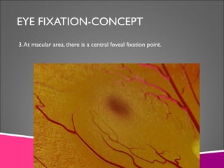 Fixation characteristics and abnormalities | PPT