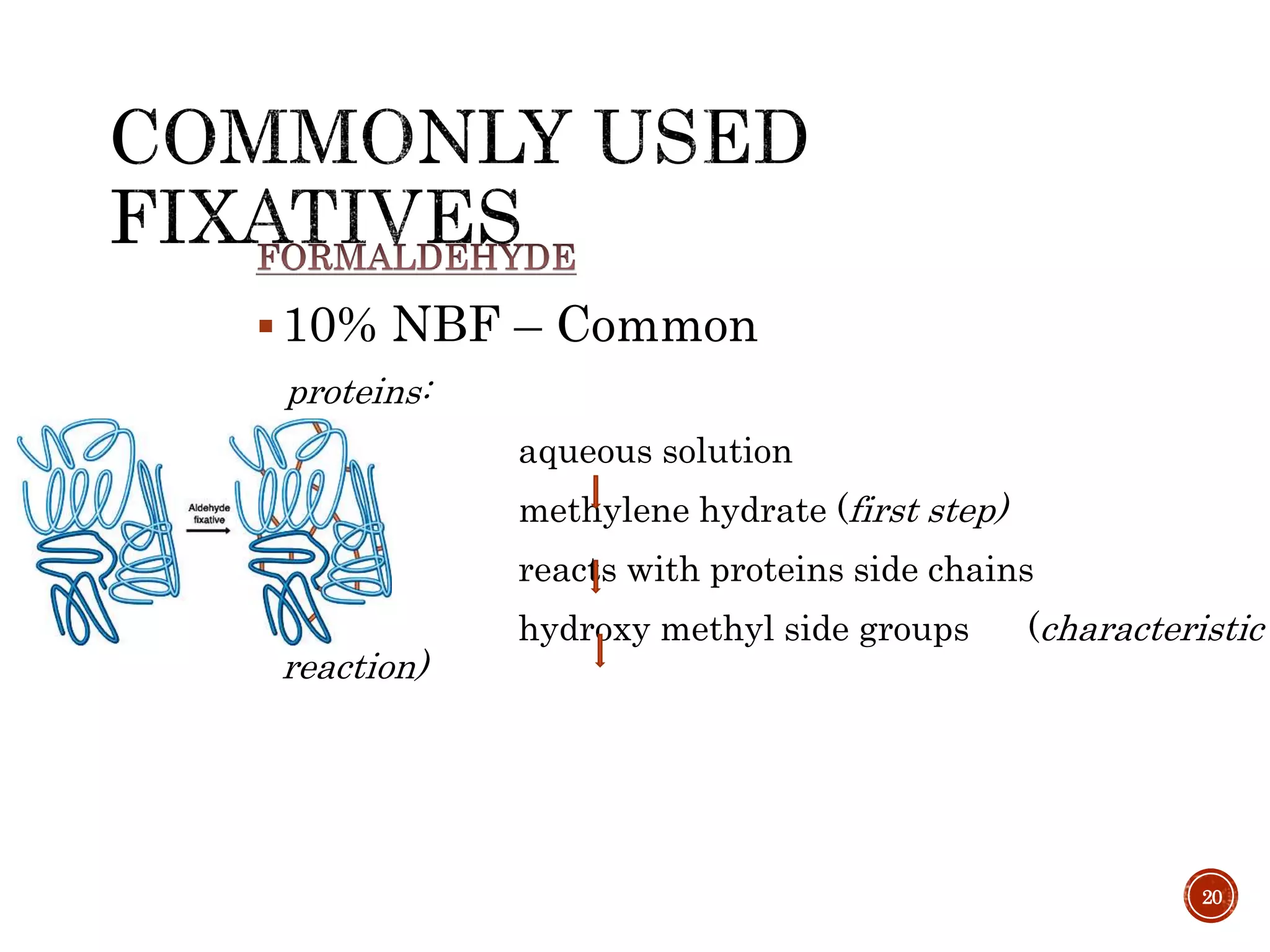 Fixation & fixatives in histopathology, dr naveen reddy PPT