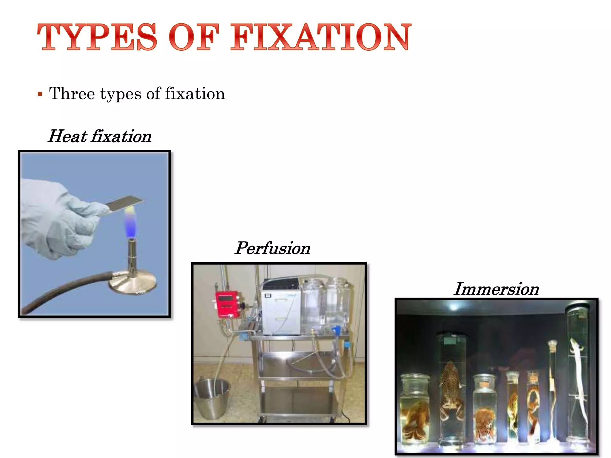 Fixation & fixatives in histopathology, dr naveen reddy PPT