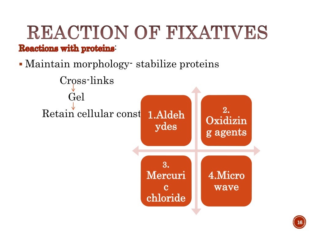 Fixation & fixatives in histopathology, dr naveen reddy