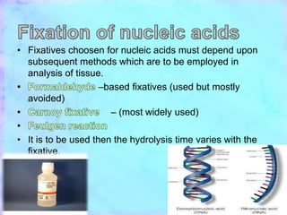 Fixation of special substances | PPT