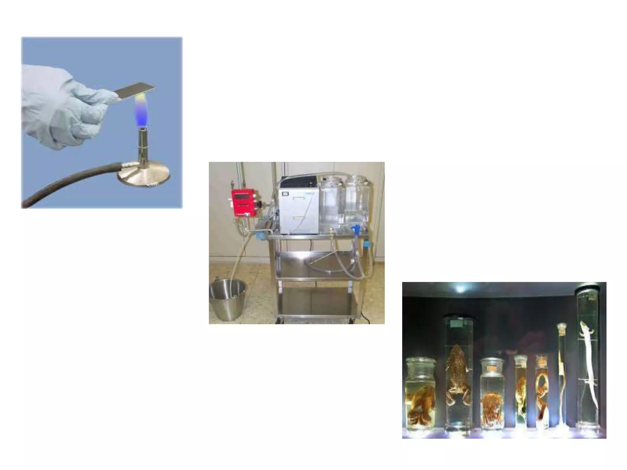 Histological Techniques: Section 2:Fixation of tissues | PPTX