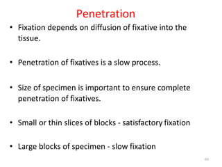 Fixative Dissection Histological Techniques: Section 2:Fixation of tissues | PPTX