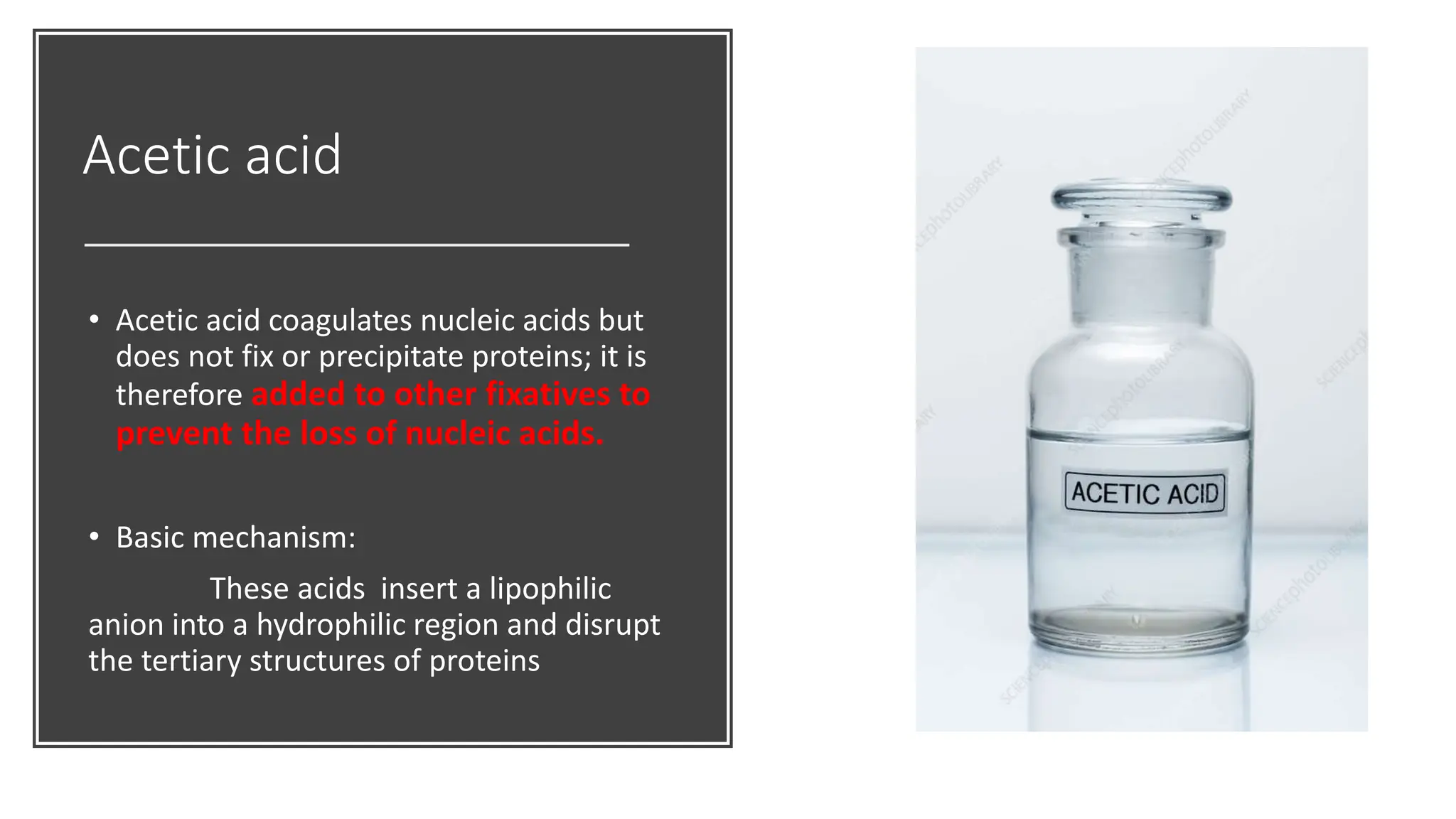 Acetic acid
• Acetic acid coagulates nucleic acids but
does not fix or precipitate proteins; it is
therefore added to other fixatives to
prevent the loss of nucleic acids.
• Basic mechanism:
These acids insert a lipophilic
anion into a hydrophilic region and disrupt
the tertiary structures of proteins
 