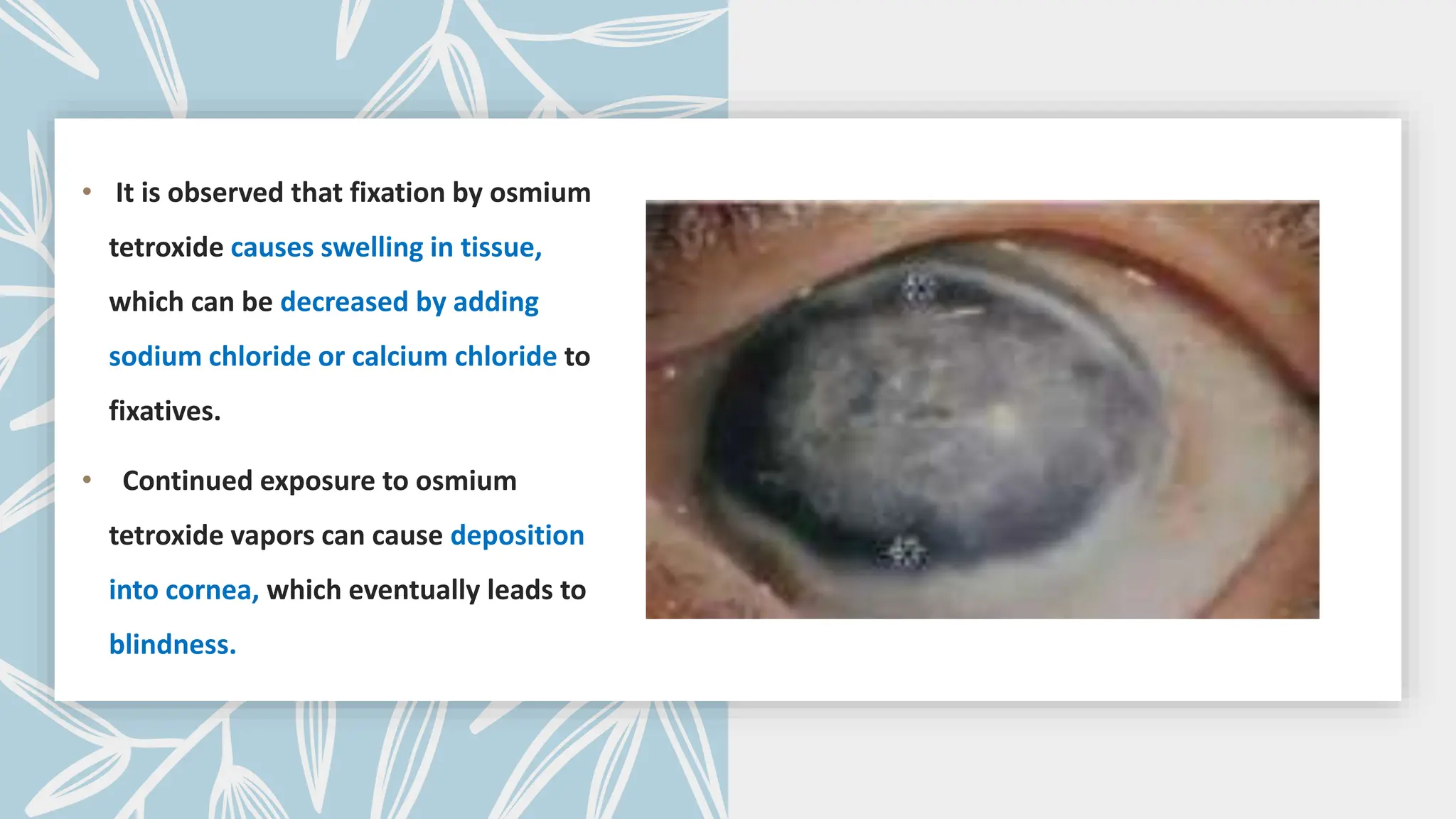 • It is observed that fixation by osmium
tetroxide causes swelling in tissue,
which can be decreased by adding
sodium chloride or calcium chloride to
fixatives.
• Continued exposure to osmium
tetroxide vapors can cause deposition
into cornea, which eventually leads to
blindness.
 