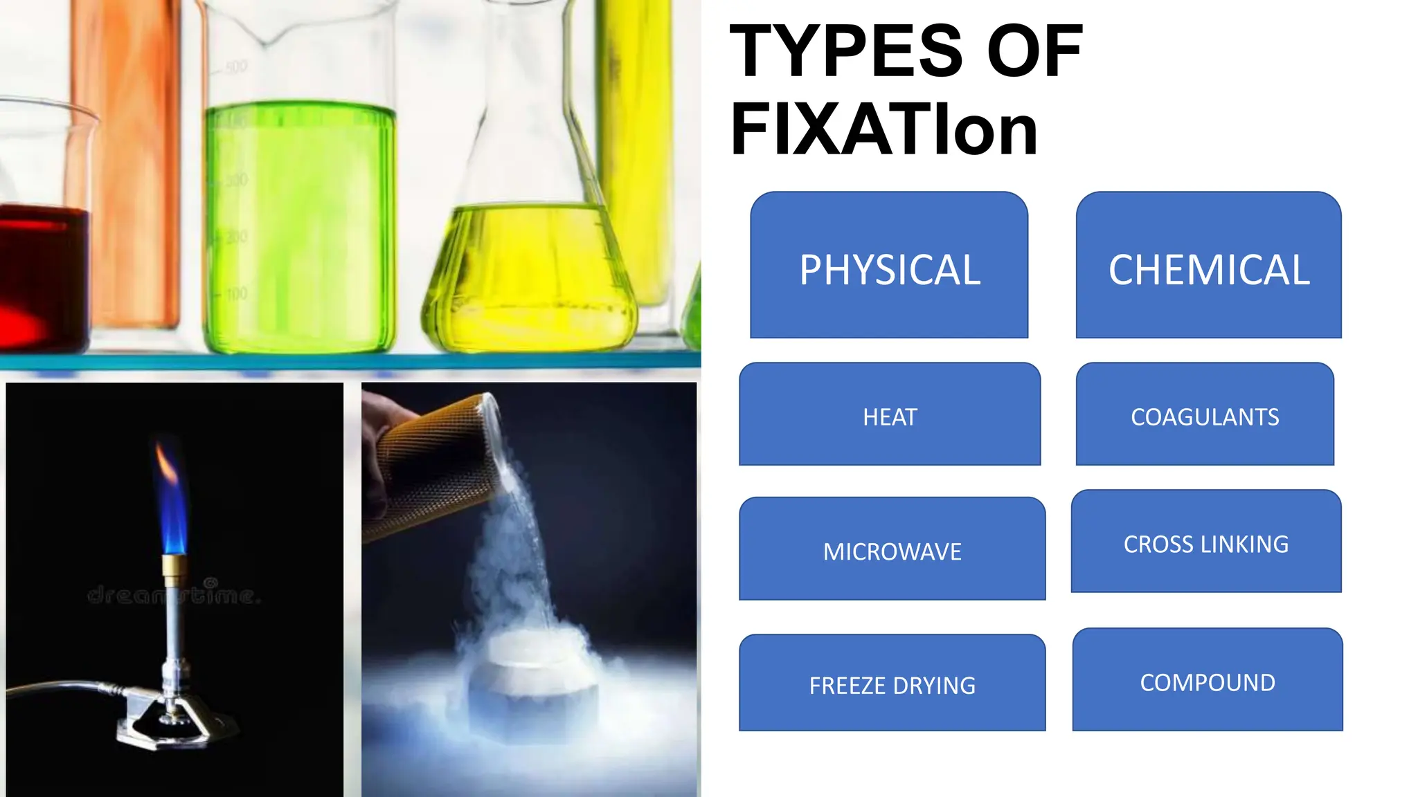 TYPES OF
FIXATIon
PHYSICAL CHEMICAL
HEAT
MICROWAVE
FREEZE DRYING
CROSS LINKING
COAGULANTS
COMPOUND
 