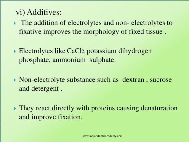 Samosa business plan filetype ppt picture