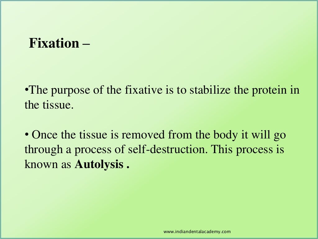 Fixatives and fixation/certified fixed orthodontic courses by Indian