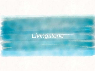 Livingstone
 