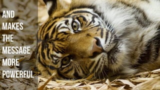 And
makes
the
Message
More
powerful