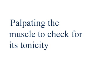 Palpating the
muscle to check for
its tonicity
 