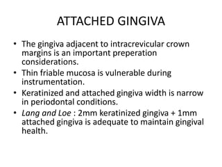 ATTACHED GINGIVA
• The gingiva adjacent to intracrevicular crown
margins is an important preperation
considerations.
• Thin friable mucosa is vulnerable during
instrumentation.
• Keratinized and attached gingiva width is narrow
in periodontal conditions.
• Lang and Loe : 2mm keratinized gingiva + 1mm
attached gingiva is adequate to maintain gingival
health.
 