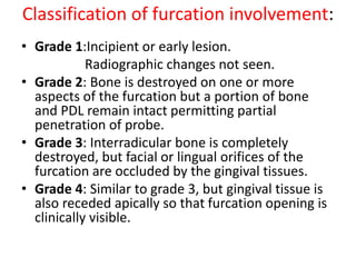 Classification of furcation involvement:
• Grade 1:Incipient or early lesion.
Radiographic changes not seen.
• Grade 2: Bone is destroyed on one or more
aspects of the furcation but a portion of bone
and PDL remain intact permitting partial
penetration of probe.
• Grade 3: Interradicular bone is completely
destroyed, but facial or lingual orifices of the
furcation are occluded by the gingival tissues.
• Grade 4: Similar to grade 3, but gingival tissue is
also receded apically so that furcation opening is
clinically visible.
 