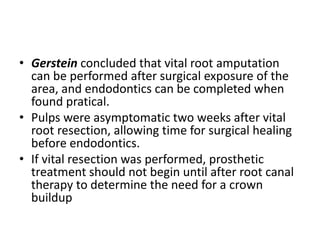 • Gerstein concluded that vital root amputation
can be performed after surgical exposure of the
area, and endodontics can be completed when
found pratical.
• Pulps were asymptomatic two weeks after vital
root resection, allowing time for surgical healing
before endodontics.
• If vital resection was performed, prosthetic
treatment should not begin until after root canal
therapy to determine the need for a crown
buildup
 