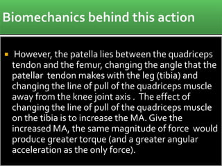  However, the patella lies between the quadriceps
tendon and the femur, changing the angle that the
patellar tendon makes with the leg (tibia) and
changing the line of pull of the quadriceps muscle
away from the knee joint axis . The effect of
changing the line of pull of the quadriceps muscle
on the tibia is to increase the MA. Give the
increased MA, the same magnitude of force would
produce greater torque (and a greater angular
acceleration as the only force).
 