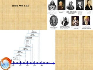 Século XVIII a XIX
 