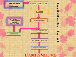 GLUCOSE 
PANCREAS 
DAMAGE 
LESS INSULIN 
BLOOD STREAM 
Can not be converted into 
energy 
ACCUMULATE IN BLOOD 
HIGH GLUCOSE LEVEL 
DIABETES MELLITUS 
CARBOHIDRATE 
(from food) 
DIGESTIVE SYSTEM M 
E 
C 
H 
A 
N 
I 
S 
M 
E 
O 
F 
D 
M 
 