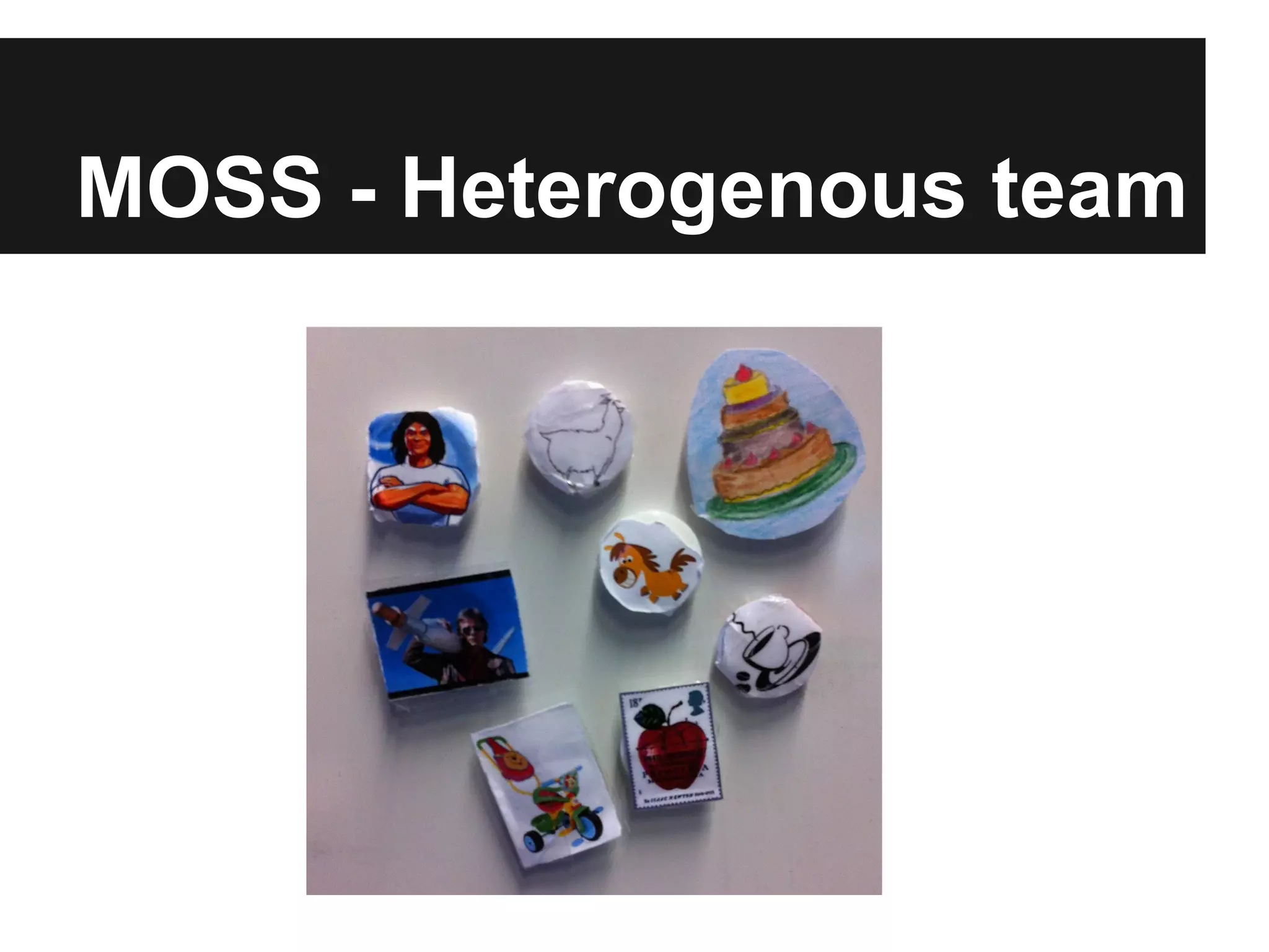 MOSS - Heterogenous team 
 