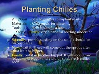  Aim/ Goal
 Materials
: how to plant a chili-plant easily.
: Chili seeds, fertilizer, …
Tools : Big pot, knife, a hoe

 Steps : Firstly, dry a handful seeding under the
sunlight.
 Secondly, put the seeding on the soil. It should be
in open area
 Next, wait it. There will come out the sprout after
that let it be bigger.
 Finally, put it in another big pot. It will soon grow
bigger and bigger and yield us some fresh chilies
soon.
 