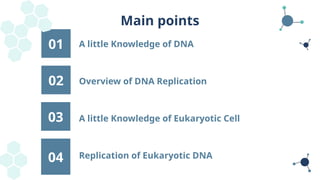 Overview of DNA and Replication of Eukaryotic DNA | PPTX