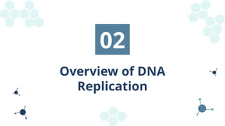 Overview of DNA and Replication of Eukaryotic DNA | PPTX