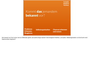 Complex
Adaptive
Systems
Kommt das jemandem
bekannt vor?
Probieren.
Erkennen.
Reagieren.
Selbstorganisation Chancen erkennen
und nutzen
Hat Jemand von Euch schon mal von Methoden gehört, die solche Dinge machen? Die Emergente Praktiken, Lernzyklen, Selbstorganisation und die Suche nach
Opportunities integrieren? 

 