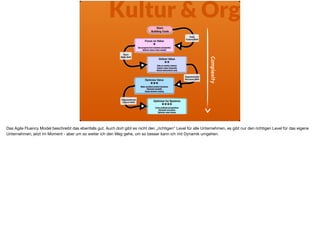 Kultur & Org
Complexity
Das Agile Fluency Model beschreibt das ebenfalls gut. Auch dort gibt es nicht den „richtigen“ Level für alle Unternehmen, es gibt nur den richtigen Level für das eigene
Unternehmen, jetzt im Moment - aber um so weiter ich den Weg gehe, um so besser kann ich mit Dynamik umgehen.
 