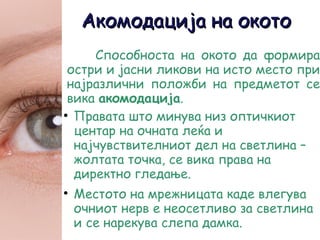 Окото како оптички систем | PPT
