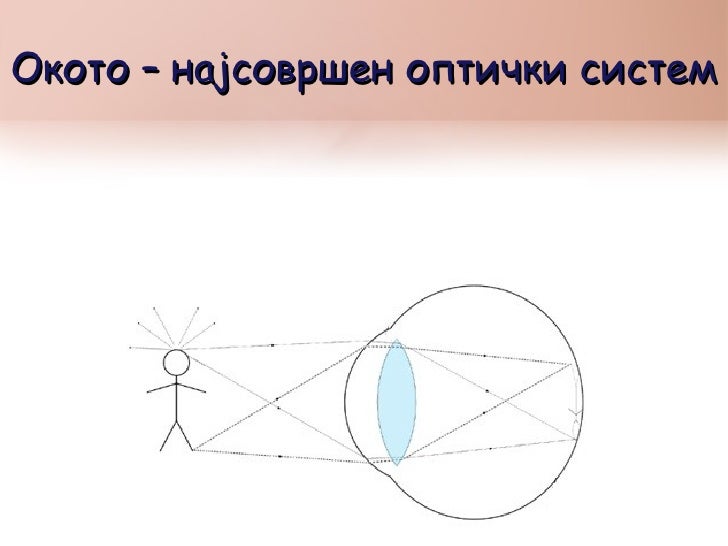 Окото како оптички систем