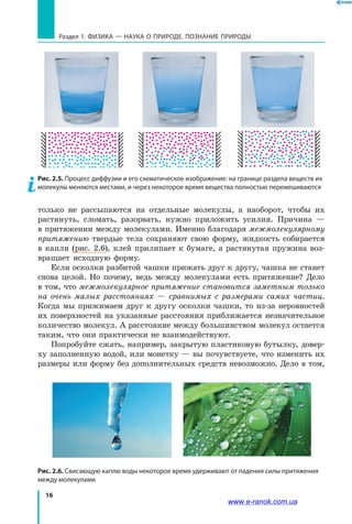 16
Раздел 1. ФИЗИКА — НАУКА о природе. ПОЗНАНИЕ ПРИРОДЫ
только не рассыпаются на отдельные молекулы, а  наоборот, чтобы их
растянуть, сломать, разорвать, нужно приложить усилия. Причина —
в притяжении между молекулами. Именно благодаря межмолекулярному
притяжению твердые тела сохраняют свою форму, жидкость собирается
в капли (рис. 2.6), клей прилипает к бумаге, а растянутая пружина воз-
вращает исходную форму.
Если осколки разбитой чашки прижать друг к другу, чашка не станет
снова целой. Но почему, ведь между молекулами есть притяжение? Дело
в том, что межмолекулярное притяжение становится заметным только
на очень малых расстояниях — сравнимых с размерами самих частиц.
Когда мы прижимаем друг к другу осколки чашки, то из-за неровностей
их поверхностей на указанные расстояния приближается незначительное
количество молекул. А расстояние между большинством молекул остается
таким, что они практически не взаимодействуют.
Попробуйте сжать, например, закрытую пластиковую бутылку, довер-
ху заполненную водой, или монетку — вы почувствуете, что изменить их
размеры или форму без дополнительных средств невозможно. Дело в том,
Рис. 2.5. Процесс диффузии и его схематическое изображение: на границе раздела веществ их
молекулы меняются местами, и через некоторое время вещества полностью перемешиваются
Рис. 2.6. Свисающую каплю воды некоторое время удерживают от падения силы притяжения
между молекулами
www.e-ranok.com.ua
 