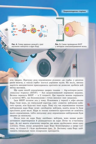 ніж хворих. Причому доза опромінення ділянки «до горба» у десятки
разів нижча, а «після горба» взагалі дорівнює нулю. На жаль, висока
вартість використання прискорювача протонів не дозволяє зробити цей
метод масовим.
Ще один спосіб опромінення хворих тканин — бор-нейтрон-за­
хоп-
лю­
валь­
на­ терапія (БНЗТ) — був запропонований порівняно недавно.
Велика перевага БНЗТ — в її точності. Цю терапію можна порівняти
з «агентом 007», що безпомилково і точно виконує своє завдання.
Ідея БНЗТ полягає ось у чому. Ключовим у терапії є ядро­ атома­
Бору. Саме воно, як геніальний воротар, уміє «ловити» нейтрони наба-
гато краще, ніж будь-які інші ядра. Тому під час опромінення тканин
нейтронами ядро Бору зуміє «впіймати» нейтрон, навіть якщо їх буде
пролітати дуже мало. Ядра ж інших елементів практично не помітять
цього опромінення, тобто шкідливу дозу опромінення нейтронами буде
зведено до мінімуму.
Після того як ядро Бору «впіймає» нейтрон, воно зазнає радіо-
активного перетворення й розпадається на ядро Літію та α-частинку
(рис. 4), які мають кінетичну енергію, що може зруйнувати лише одну
клітину. Отже, якщо доправити ядро Бору безпосередньо у хвору клі-
тину, то тільки її і буде зруйновано (рис. 5). Доставку ядер Бору здій-
снюють спеціальні типи лікарських препаратів.
Енциклопедична сторінка
B
10
0
5 5
3
n
1
B
11
7
Li
γ
α
Рис. 4. Схема ядерних реакцій у разі
влучення нейтрона в ядро Бору
Рис. 5. Схема проведення БНЗТ
у випадках онкозахворювання мозку
Право для безоплатного розміщення підручника в мережі Інтернет має
Міністерство освіти і науки України http://mon.gov.ua/ та Інститут модернізації змісту освіти https://imzo.gov.ua
 