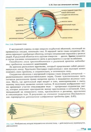 Fizika 7klass bozhinova