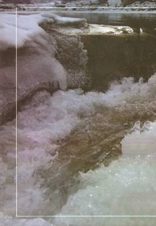 Fizika 7klass bozhinova