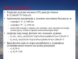 Фотосинтеза Енергија да један молекул  CO 2   реагује износи  E=2,34x10 -18 J=14,6 eV. максимална апсорпција у зеленим листовима биљака је за  хлорофил  “a”,   a =680 nm хлорофил  “b”   ,   b =644 nm иначе оба спадају у црвени део спектра- зато листови изгледају зелени јер су зелена и црвена комплементарне боје! енергије које имају фотони тих таласних дужина E a =h  a  =hc/  a =(6,625x10 -34 Js)(3x10 8 m/s)/(680x10 -9 m)=2,92x10 -19 J E b =hc/  b =(6,625x10 -34 Js)(3x10 8 m/s)/(644x10 -9 m)=3,09x10 -19 J Број фотона који се мора апсорбовати у хлорофилу (хлорофилима) износи (по једној реакцији) n a =E a /E=8 n b =E b /E=7,60 