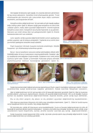 iç Hastalıkları Fizik Muayene (Medikal) kitabı