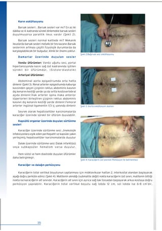 iç Hastalıkları Fizik Muayene (Medikal) kitabı