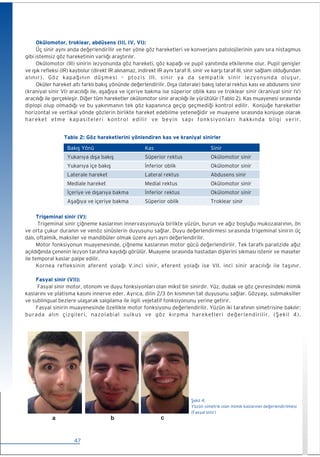 iç Hastalıkları Fizik Muayene (Medikal) kitabı