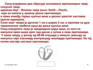 Сину-атријални део образује истоимени преткоморни чвор,
синусни чвор,
односно Кејт - Флаков чвор (енгл. Keith – Flack),
који се налази у лумену десне преткоморе,
и лежи између горње шупље вене и десног увастог наставка
(десне аурикуле).
Сноп овог чвора је дугачак 1 см а широк 3 см, и протеже се дуж
терминалног гребена срца до доње шупље вене.
Сину-атријални чвор је предводник рада срца, из кога се
импулси прво шире кроз зид десне а затим и леве преткоморе.
У овом чвору, у ритму од 60-80 откуцаја у минути, јављају се
импулси који изазивају контракцију миокарда преткомора. На тај
начин настаје систола преткомора.

16. decembar 2013

10

 