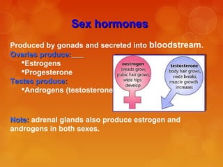 Sex hormonesSex hormones
Produced by gonads and secreted into bloodstream.
Ovaries produce:Ovaries produce:
Estrogens
Progesterone
Testes produce:Testes produce:
Androgens (testosterone)
Note:Note: adrenal glands also produce estrogen and
androgens in both sexes.
 
