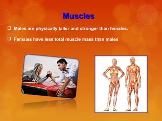 MusclesMuscles
 Males are physically taller and stronger than females.
 Females have less total muscle mass than males
 