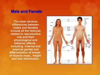 Male and FemaleMale and Female
The most obvious
differences between
males and females
include all the features
related to reproductive
role and their
physiological and
behavior effects ,
including internal and
external genital and
differentiation of breast ,
of muscle mass , height
and hair distribution.
 