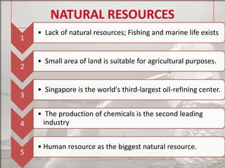 1

2

3

4

5

• Lack of natural resources; Fishing and marine life exists

• Small area of land is suitable for agricultural purposes.

• Singapore is the world's third-largest oil-refining center.
• The production of chemicals is the second leading
industry
• Human resource as the biggest natural resource.

 