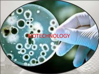 BIOTECHNOLOGY

 