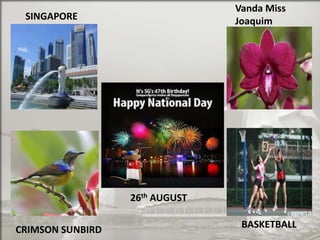 Vanda Miss
Joaquim

SINGAPORE

26th AUGUST
CRIMSON SUNBIRD

BASKETBALL

 